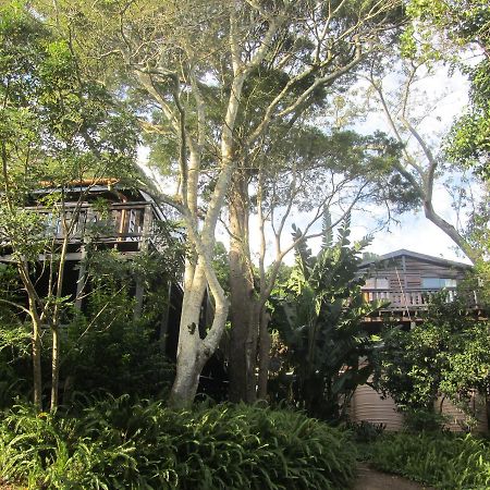 Treehouse Cottage The Crags Εξωτερικό φωτογραφία
