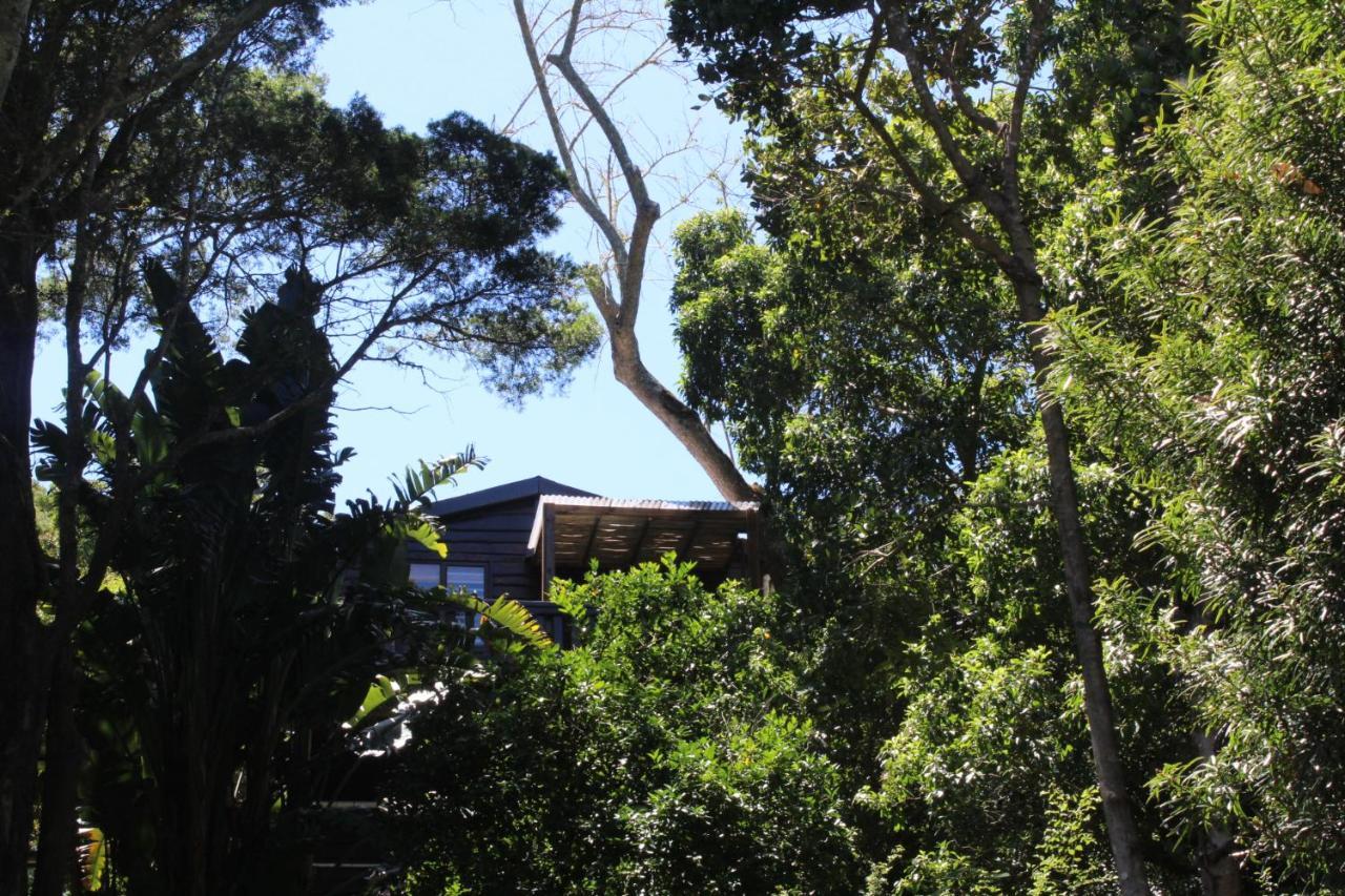 Treehouse Cottage The Crags Εξωτερικό φωτογραφία