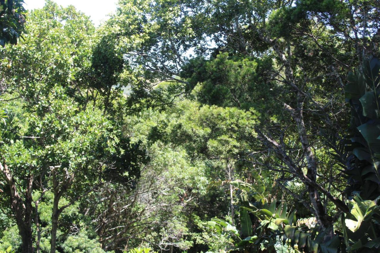 Treehouse Cottage The Crags Εξωτερικό φωτογραφία