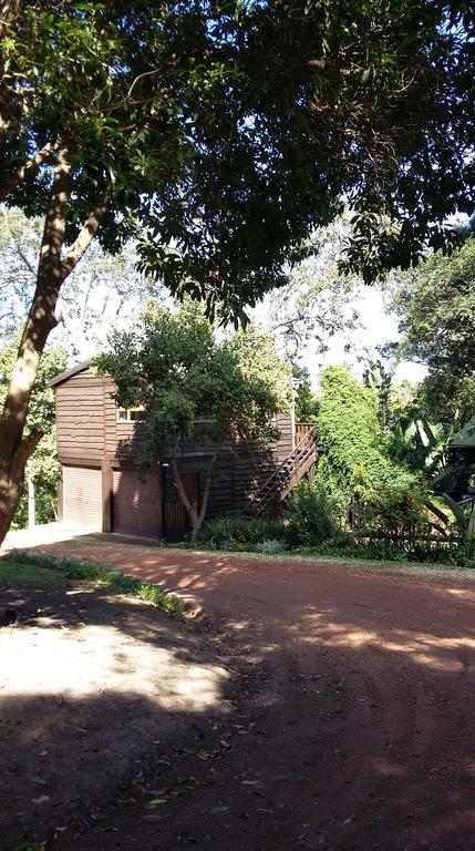 Treehouse Cottage The Crags Εξωτερικό φωτογραφία