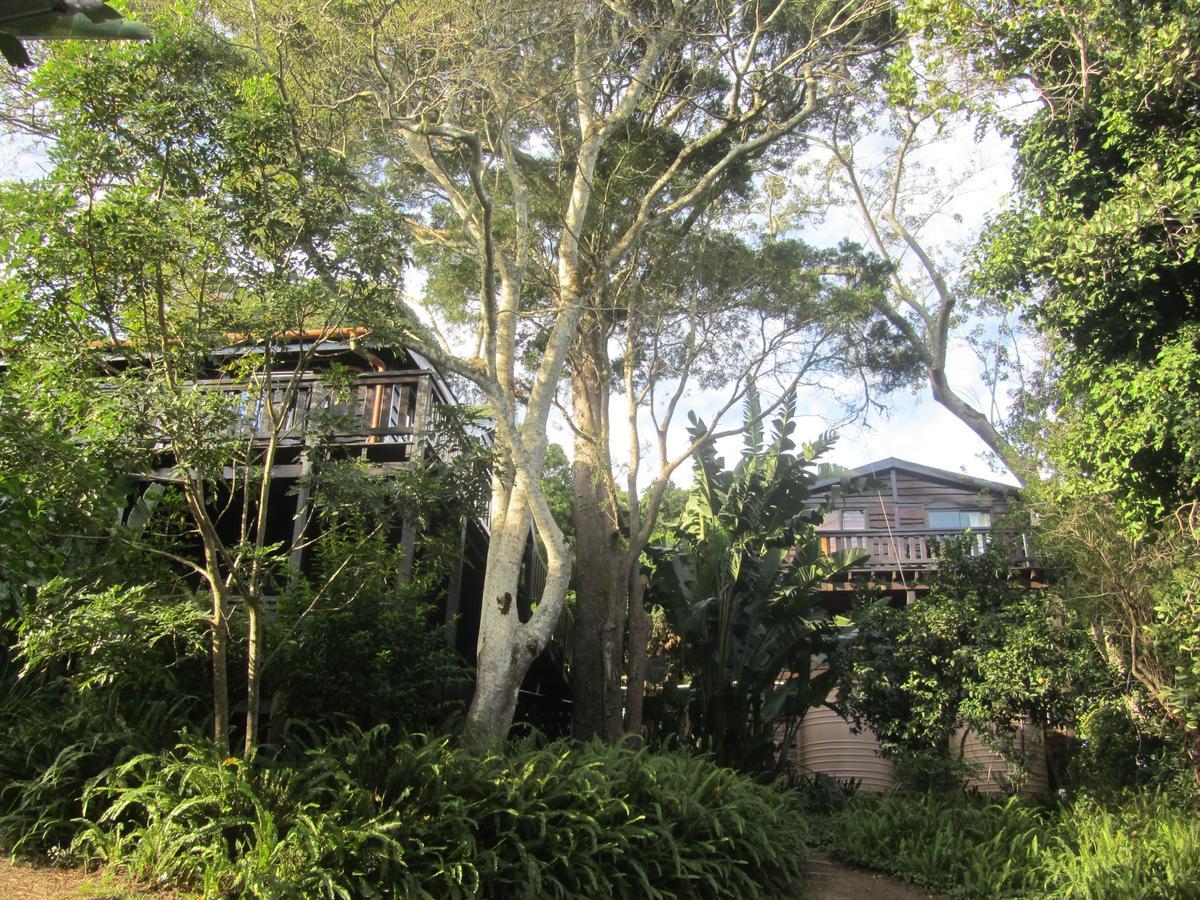 Treehouse Cottage The Crags Εξωτερικό φωτογραφία
